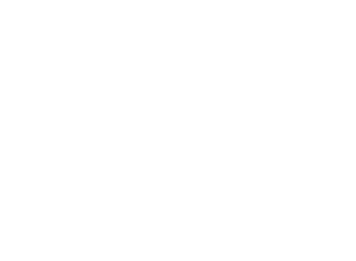 Logo Waldglas Museum Zechlin